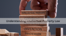 Understanding Intellectual Property Law